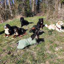 Hundeschule Conny 2022 