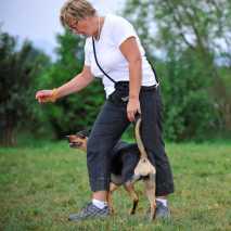 hundeschule_dogdance_12