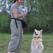 hundeschule_dogdance_15