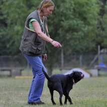 hundeschule_dogdance_38