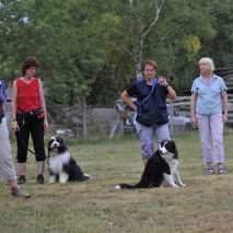 hundeschule_dogdance_41