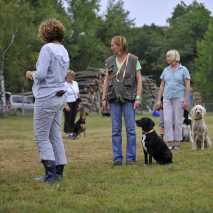 hundeschule_dogdance_49