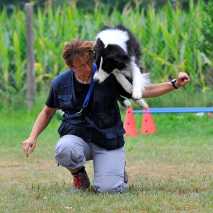hundeschule_dogdance_7