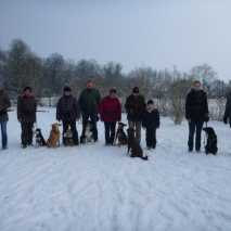 hunde-gruppentraining-10
