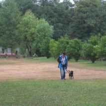 hundefuehrerschein-12