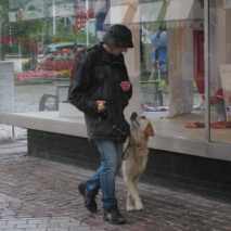 hundefuehrerschein-15