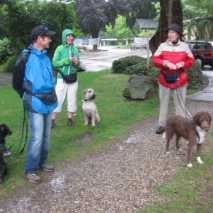 hundefuehrerschein-16