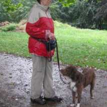 hundefuehrerschein-17