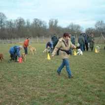 hundeschule_wanderung_02