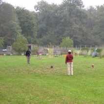 hundeschule_obidience_02