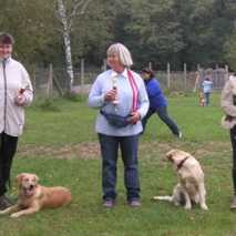 hundeschule_obidience_06