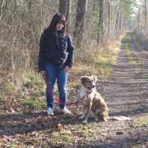 hundetraining-44