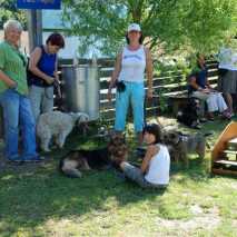 hundeschule_fest_02