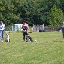 hundeschule_fest_07