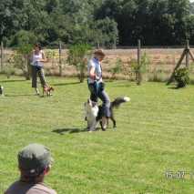 hundeschule_fest_12