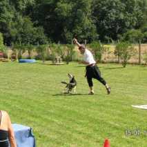 hundeschule_fest_13