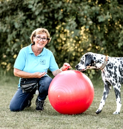 Hundeschule Conny - Elvira Knöbel - Hundeschule Nähe Freiburg, Breisach, Bad Krozingen, Müllheim, Staufen, Schwarzwald