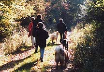 Wanderungen mit Hund, Wanderung mit Hunden, Hundewanderung